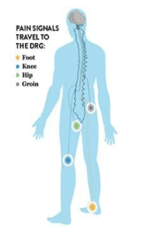 drg signals